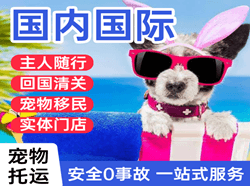 甘南夏河航空运输国际宠物托运 【国